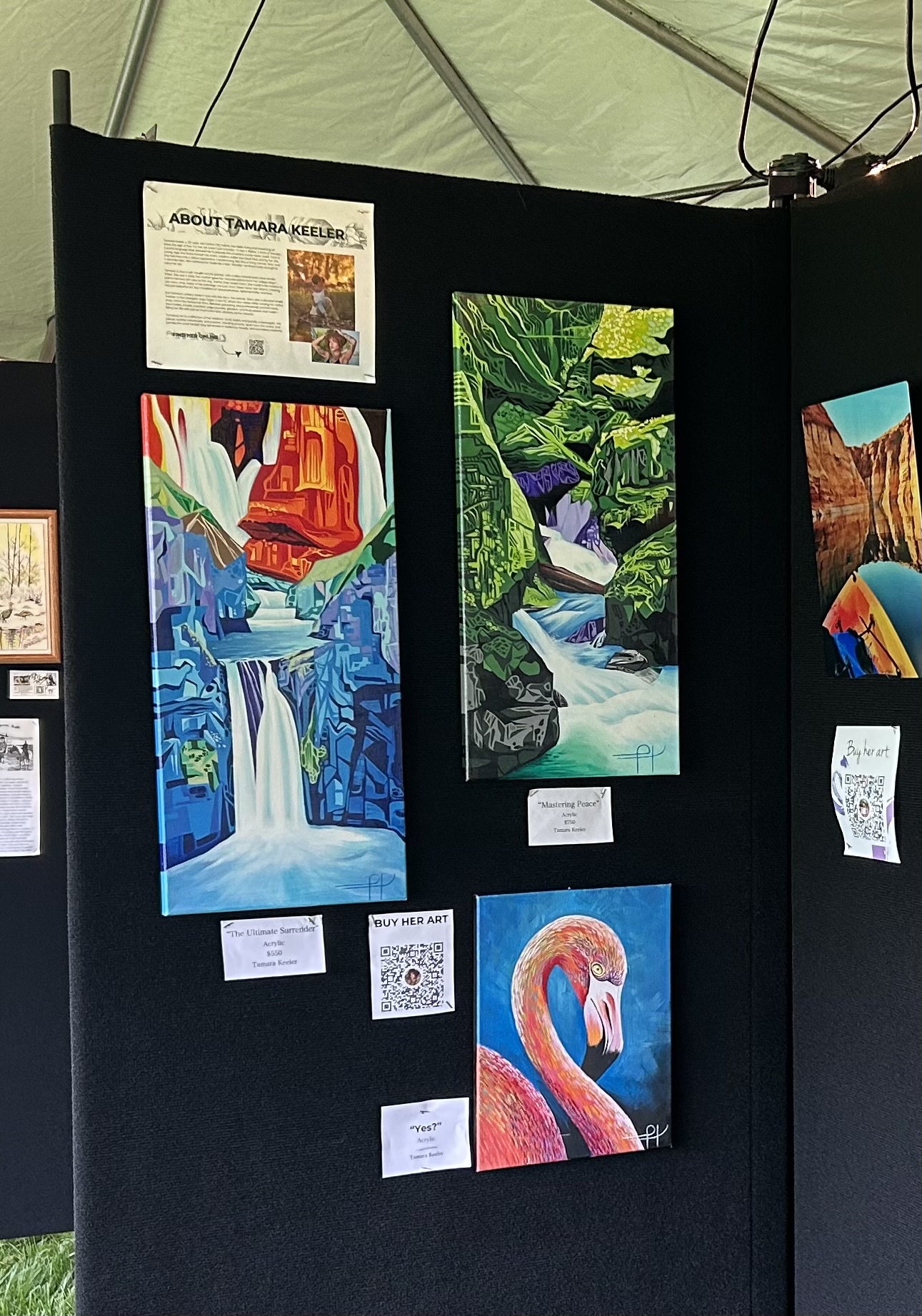 Royal Gorge Art Alliance Whitewater Festival Art Show